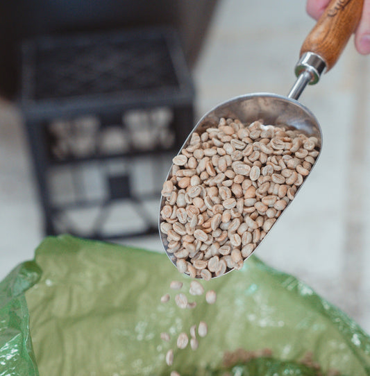 The Great Coffee Price Rise of 2025