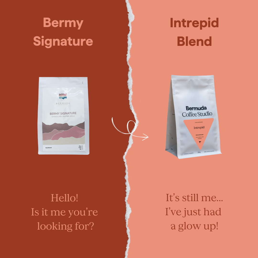Intrepid Blend